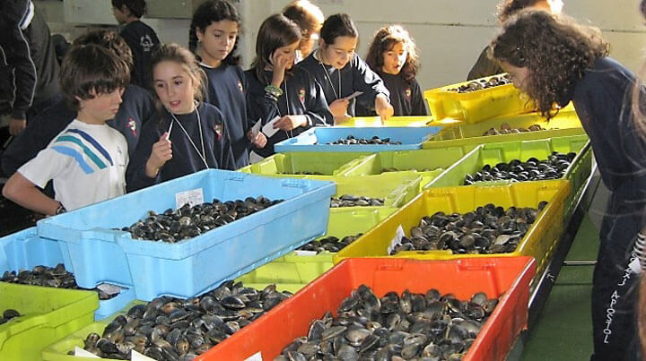 angeltourenspanien.de Ausflüge mit Muschelzüchter in Cambados Galicien