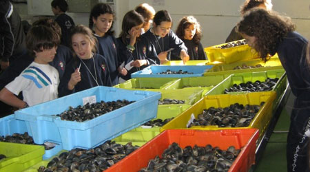 Ausflüge zum Fischereihafen und Fischmarkt in Galicien